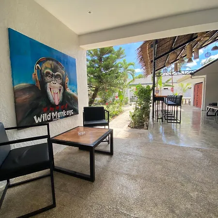 Wild Monkeys Hostel