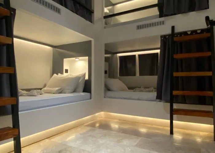 Wild Monkeys Hostel