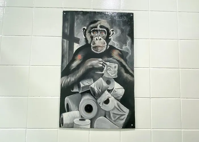 Wild Monkeys Moalboal