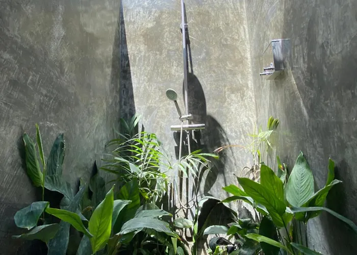 Wild Monkeys Hostel