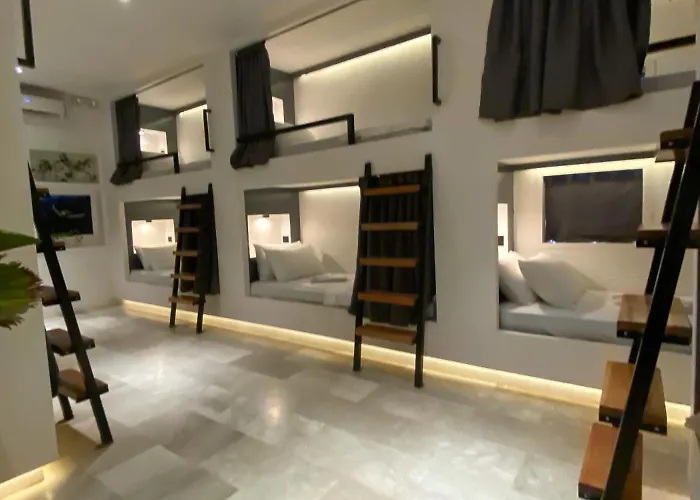 Auberge de jeunesse Wild Monkeys Moalboal