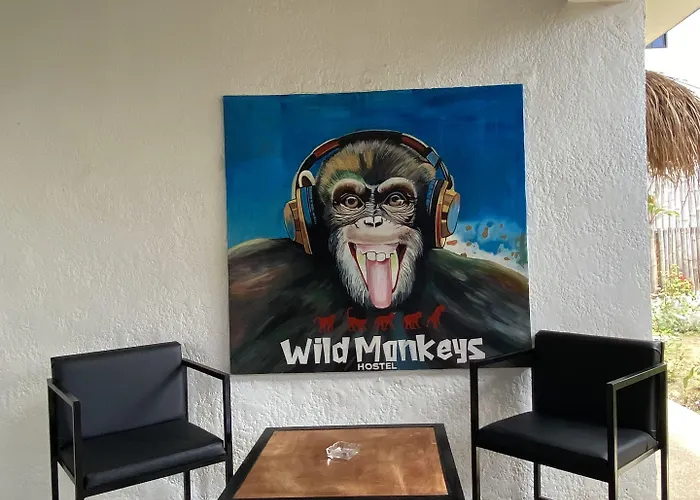 Auberge de jeunesse Wild Monkeys *
