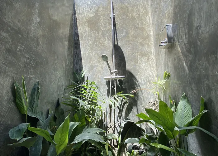 Wild Monkeys Auberge de jeunesse