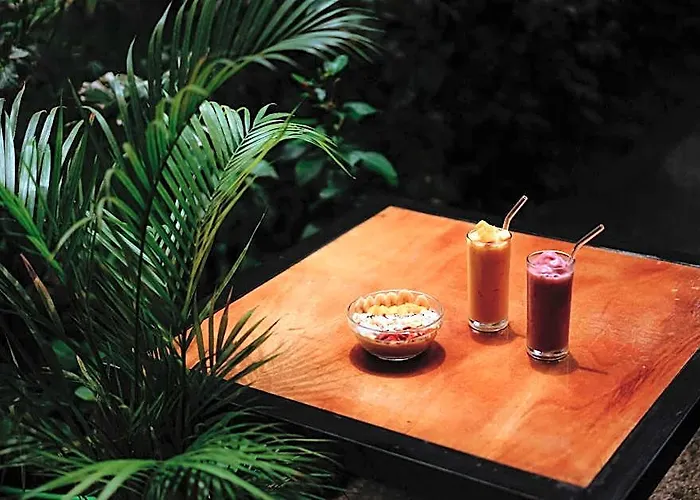 Auberge de jeunesse Wild Monkeys